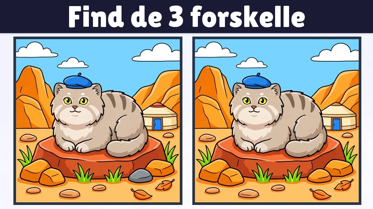 Find de 3 forskelle | Illustration Version #2382