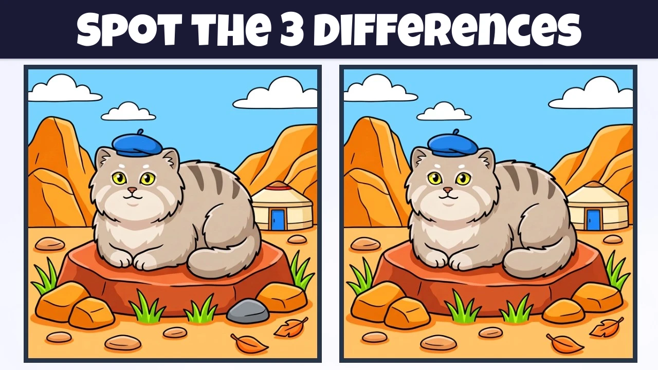 Spot the 3 Differences | Illustration Version #2382
