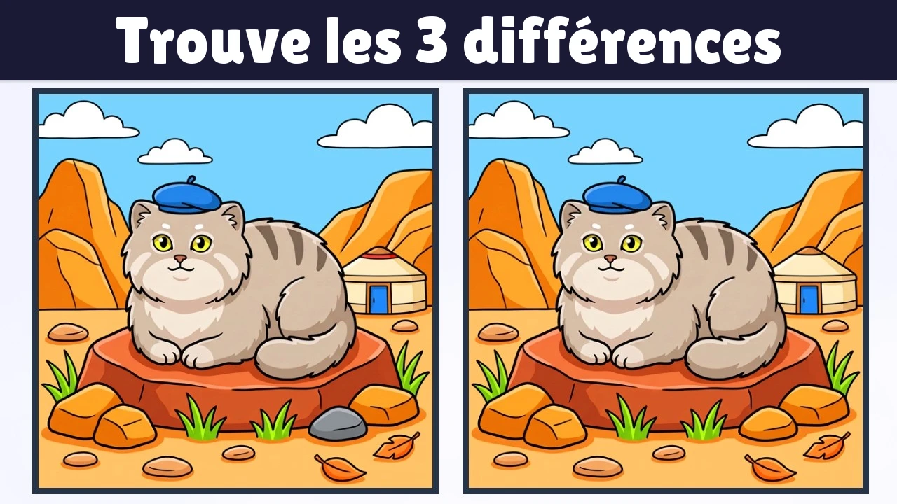 Trouvez les 3 différences | Version Illustration #2382