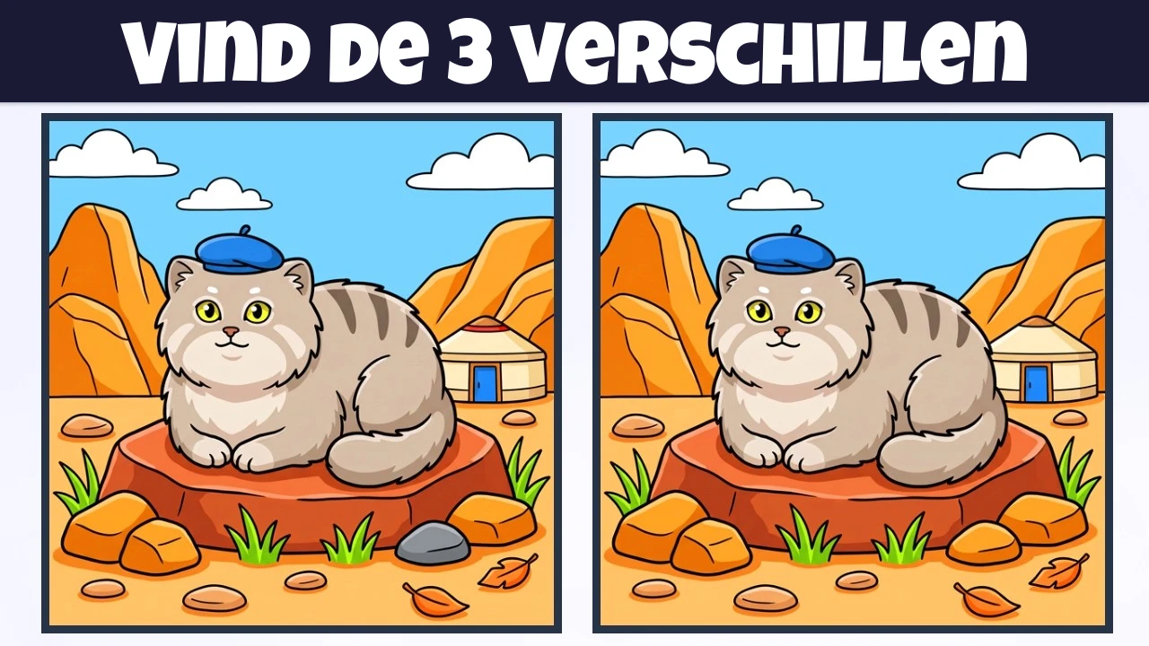 Vind de 3 Verschillen | Illustratieversie #2382