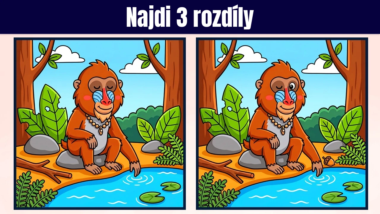 Najděte 3 rozdíly | Ilustrační verze #2352