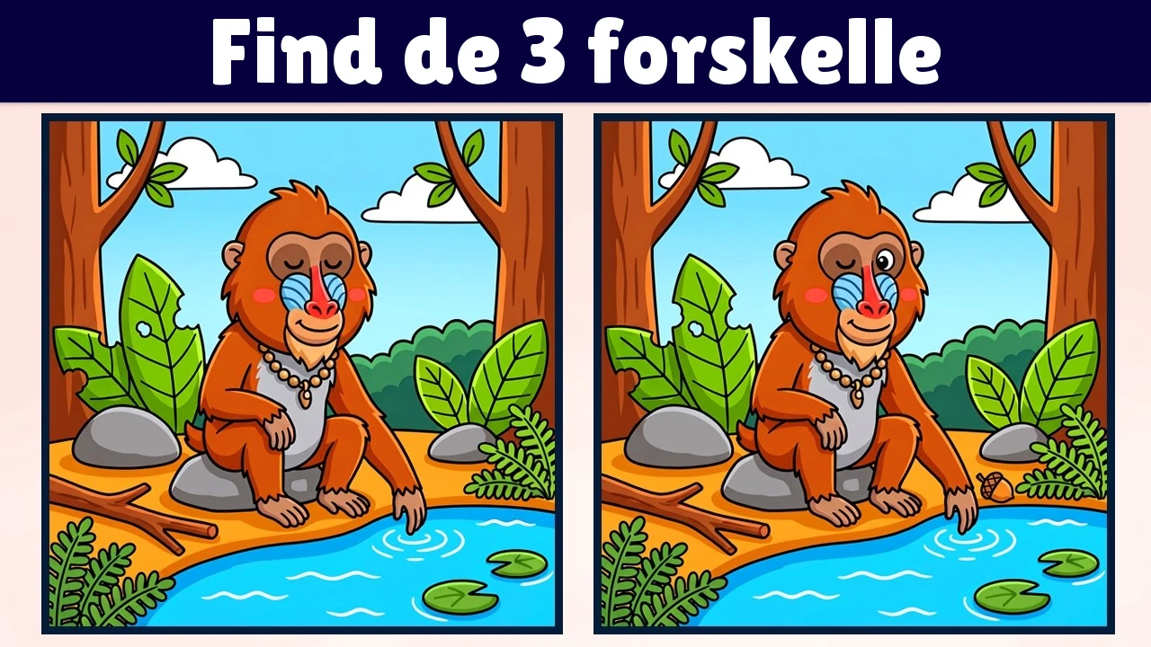 Find de 3 forskelle | Illustration Version #2352
