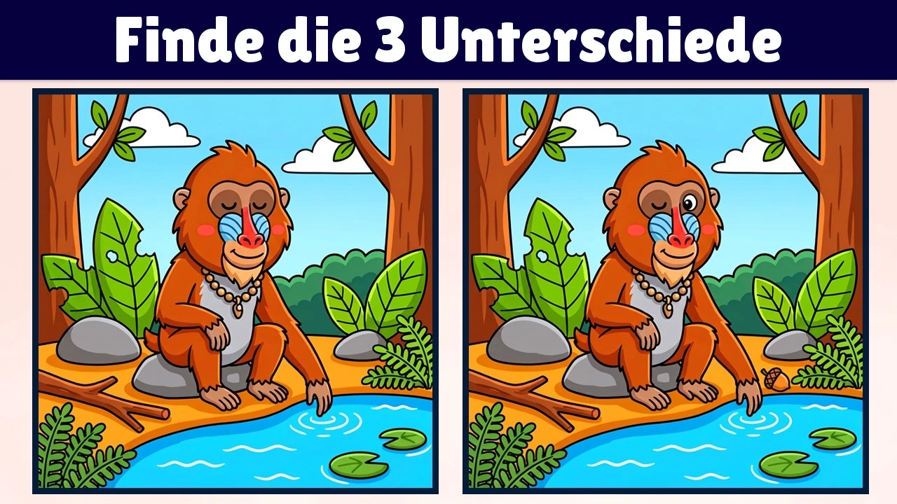 Finde die 3 Unterschiede | Illustration Version #2352