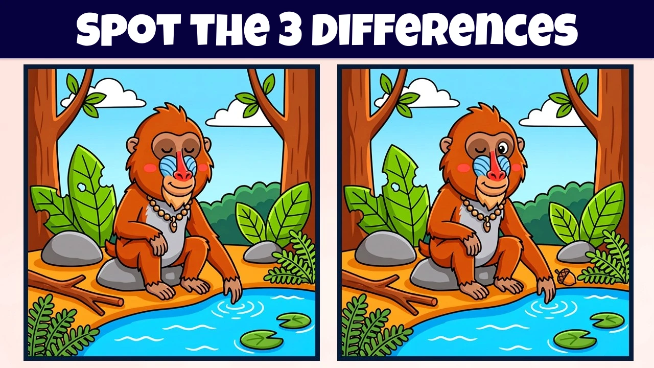 Spot the 3 Differences | Illustration Version #2352