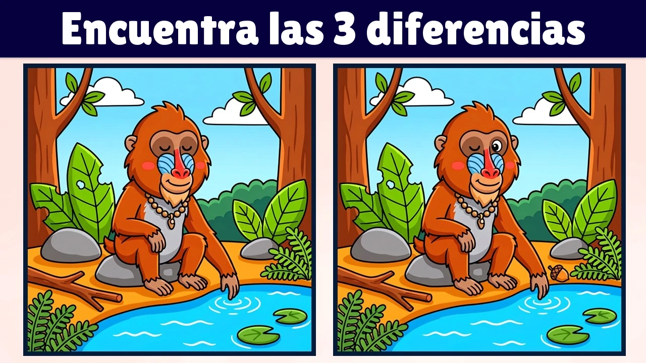 Encuentra las 3 diferencias | Versión de ilustración #2352