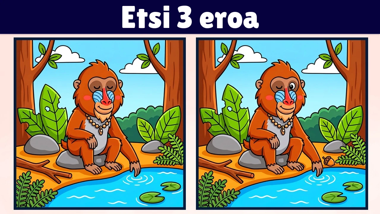 Etsi 3 eroavaisuutta | Kuvitusversio #2352