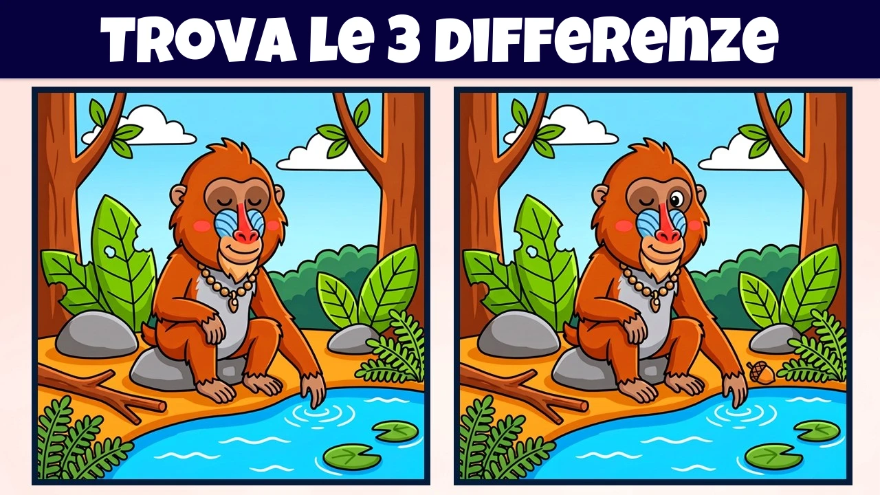 Trova le 3 Differenze | Versione Illustrazione #2352
