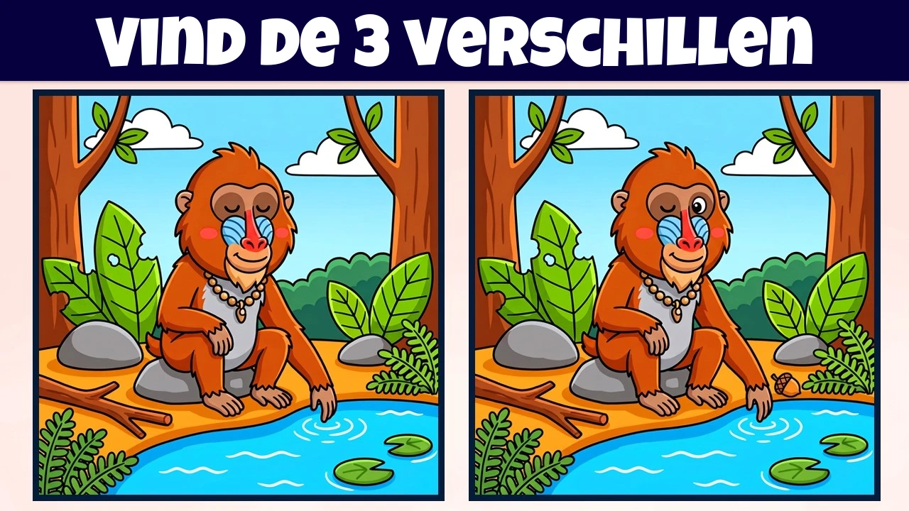 Vind de 3 Verschillen | Illustratieversie #2352