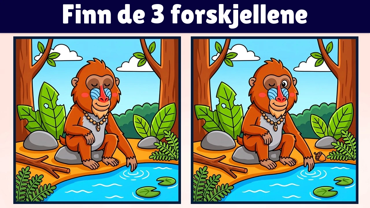 Finn de 3 forskjellene | Illustrasjonsversjon #2352