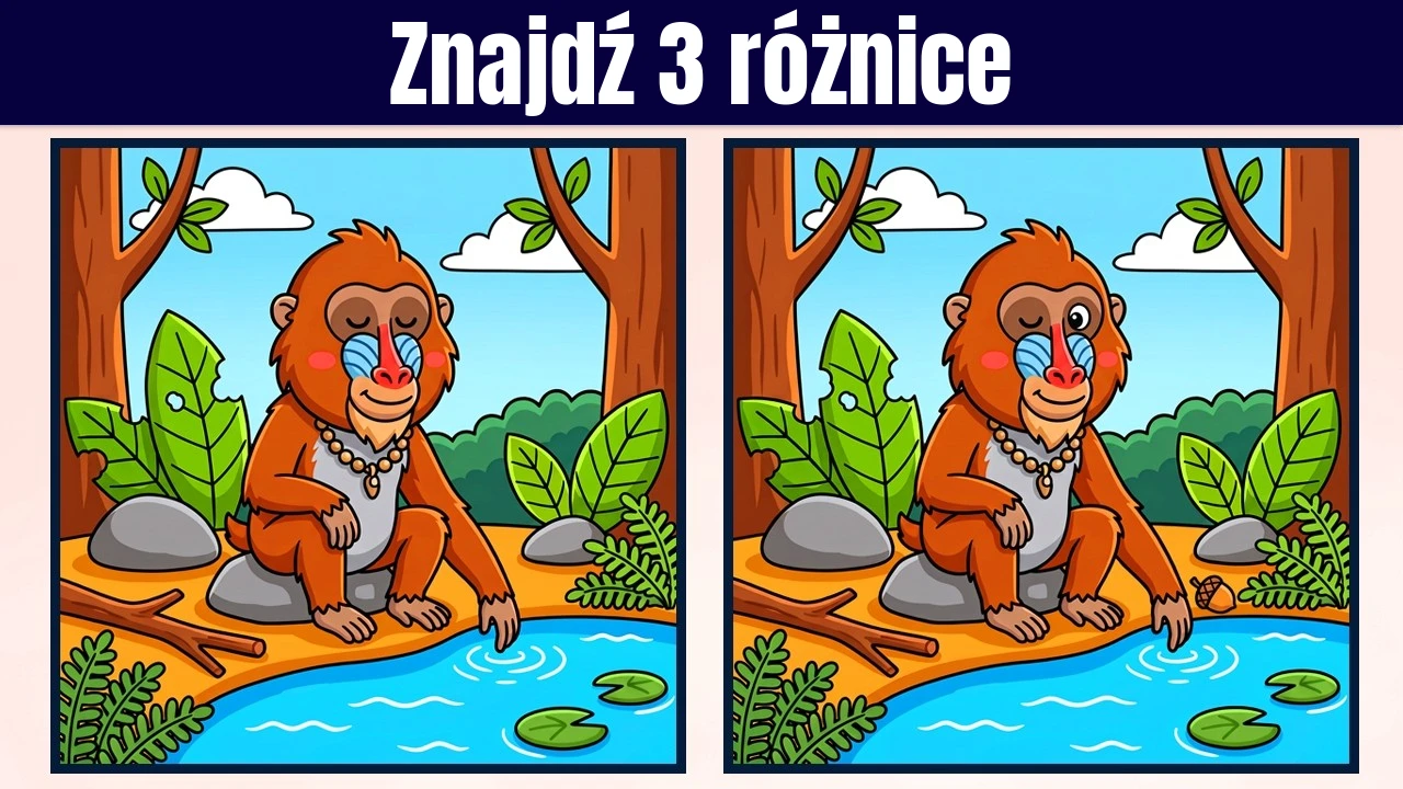 Znajdź 3 różnice | Wersja ilustracyjna #2352