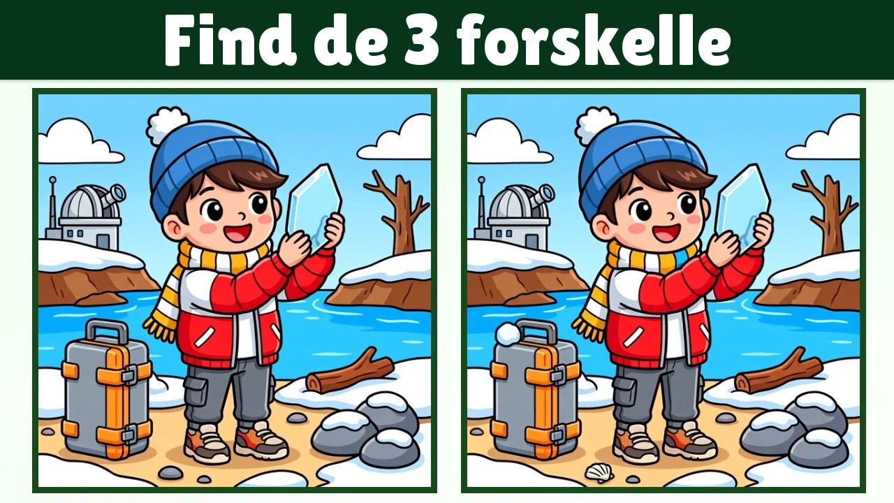 Find de 3 forskelle | Illustration Version #2364