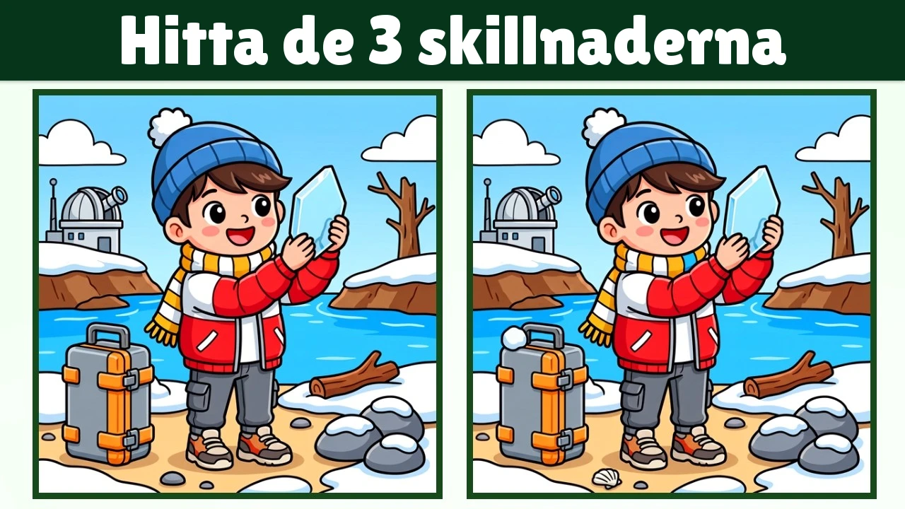 Hitta de 3 skillnaderna | Illustrationsversion #2364